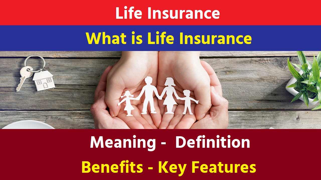 What is Life Insurance