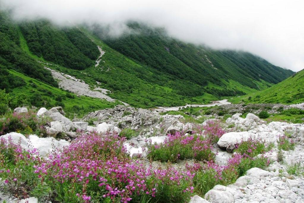 Top 5 Monsoon Adventures In India: जो आपको बारिश से प्यार करने पर मजबूर कर देगे