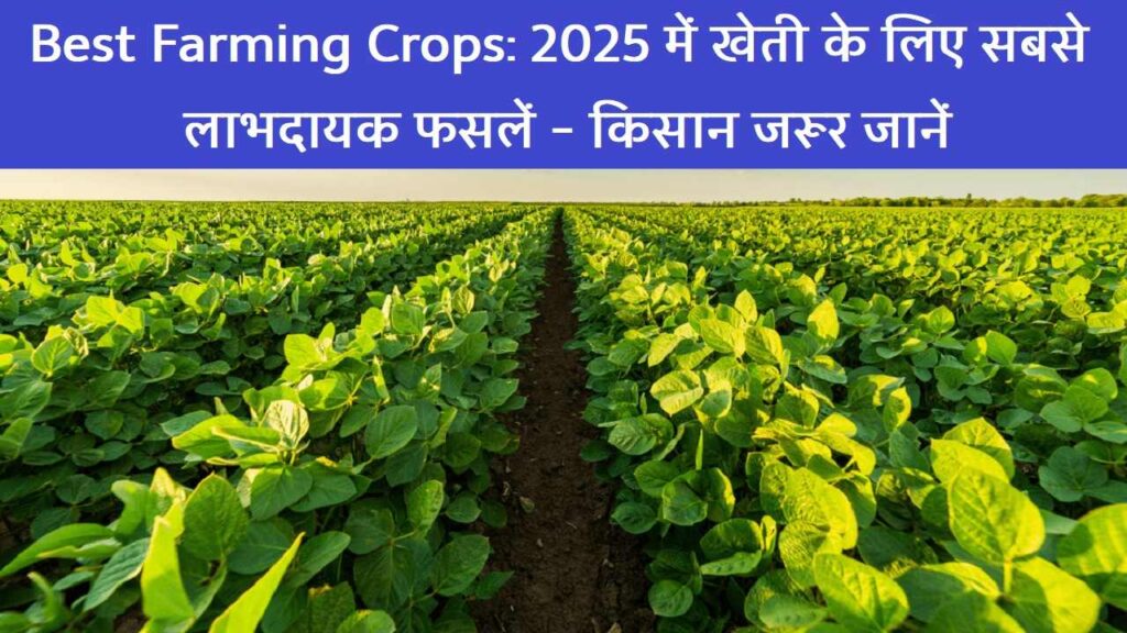 Best Farming Crops