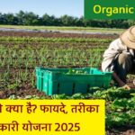 Organic Farming