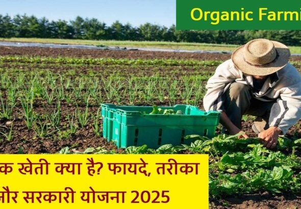 Organic Farming